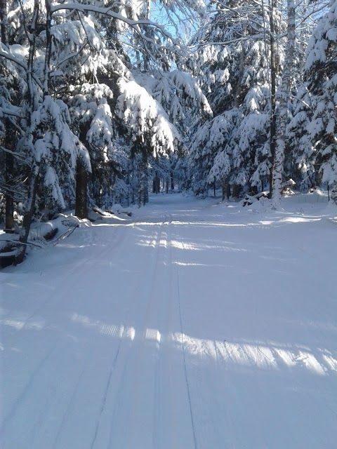 Dewey Mountain Recreation Area